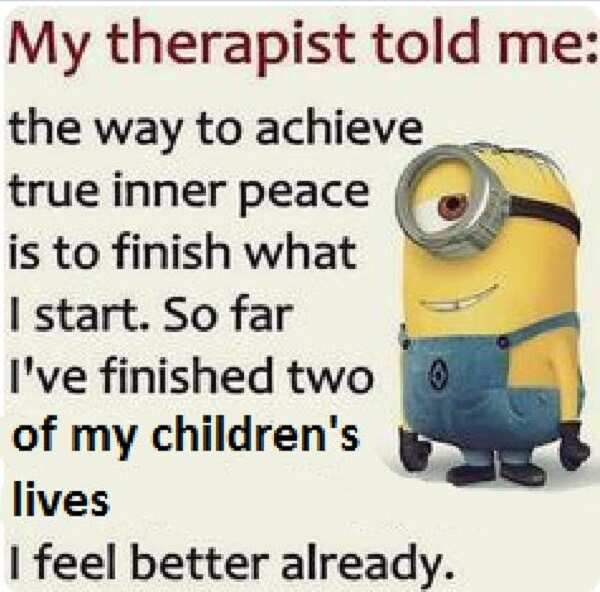 despicable me memes