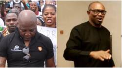 “I would stage the biggest rally ever for Obidients”: Charly Boy publicly endorses Peter Obi