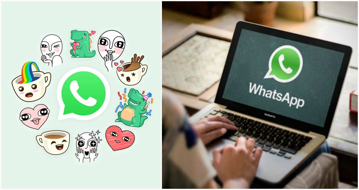 how to download whatsapp on a pc