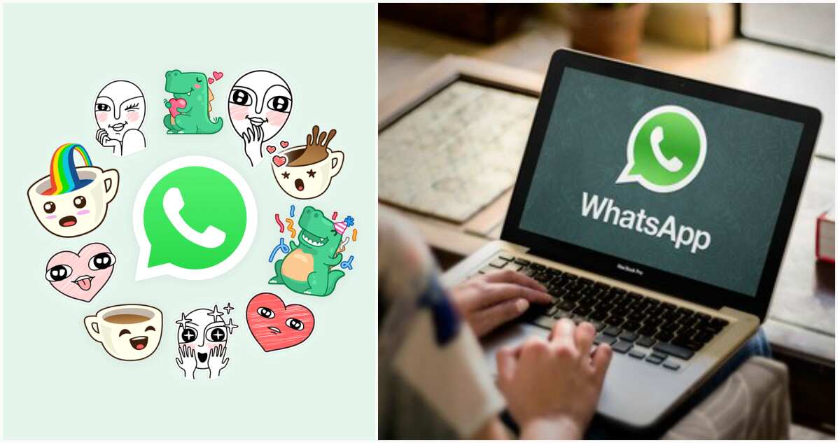 How To Create Your Sticker On WhatsApp Web; Step-By-Step Guide - Gizbot News