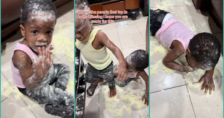 Watch trending video of naughty twin boys spilling mum's milk at home