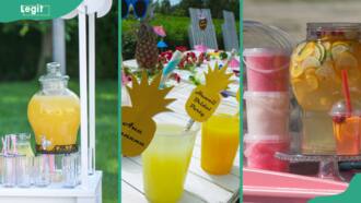 20+ profitable lemonade stand ideas to quench your thirst