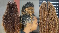 Top 60 goddess braids styles for 2024 for trendy ladies (pictures)