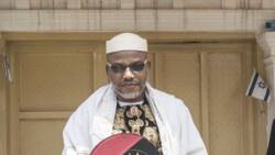 Nnamdi Kanu: Southeast monarchs, Bishops ask FG to release IPOB leader immediately
