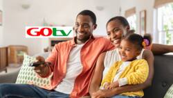 GOtv Nigeria: packages, channels list, and prices in 2023