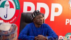 PDP crisis: Defeated senator says Ayu is 'evil' that befell PDP, gives reason