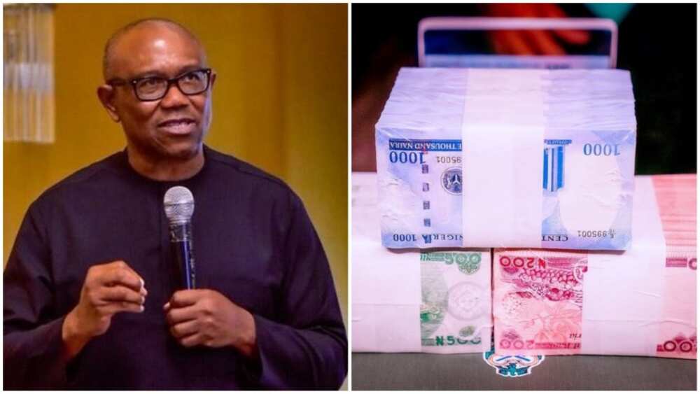 Peter Obi, Labour Party, CBN, new naira notes, 2023 presidential candidate