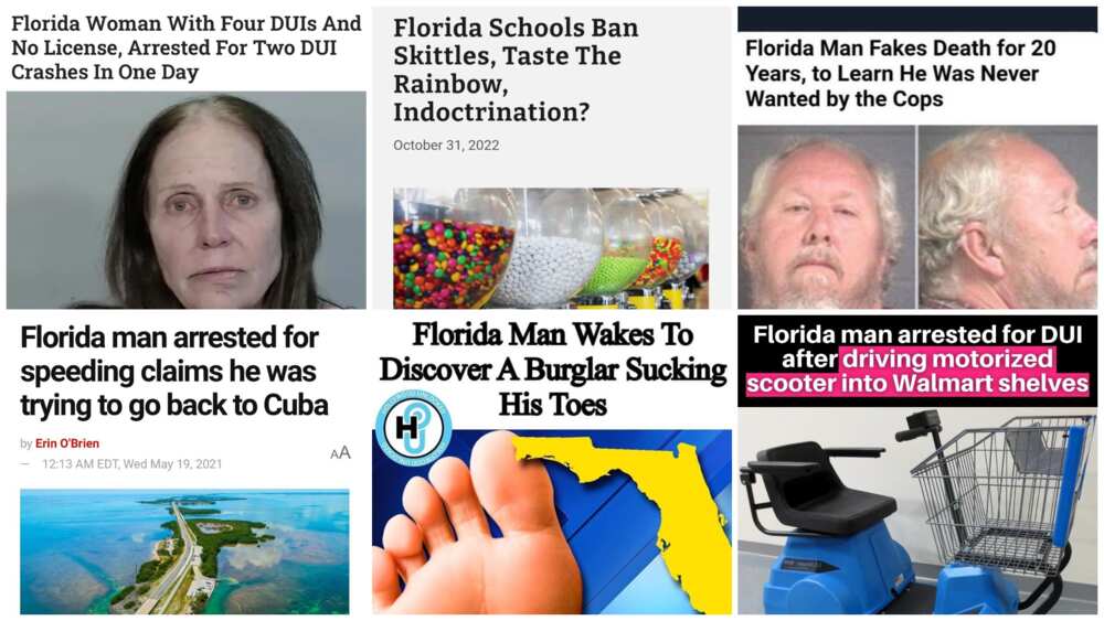 Funny fake news headlines that are sure to make you crack up Funny fake news headlines that are sure to make you crack up