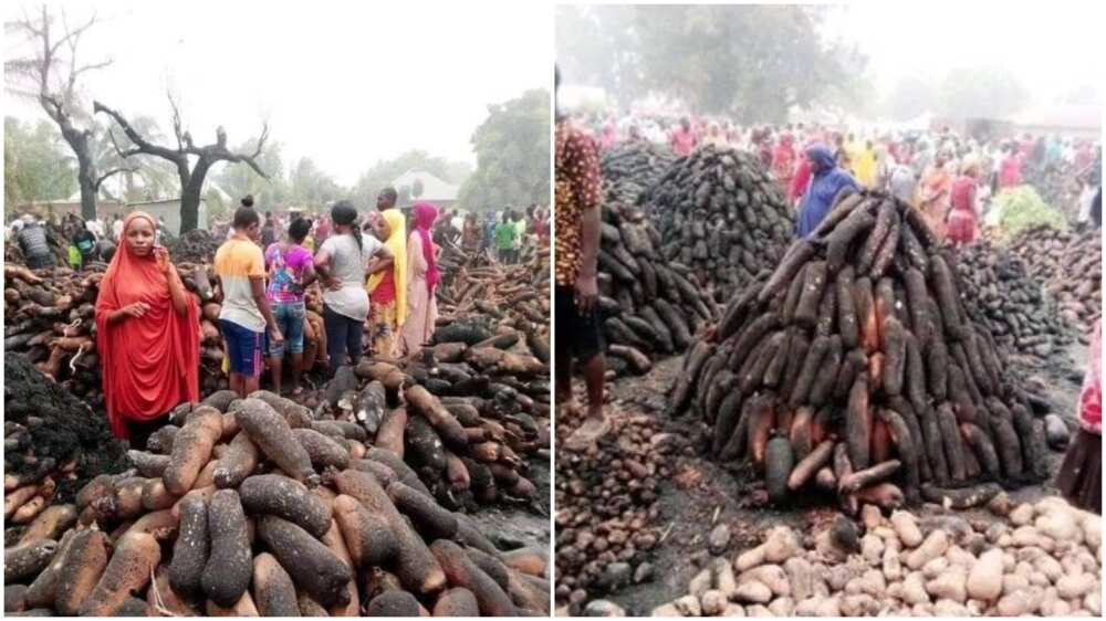 Farmers, Traders in Tears as Raging Fire Destroys Food Items Worth Millions in Plateau Yam Market