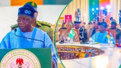 “Powerful tool for change”: Jubilation as President Tinubu launches education campaign