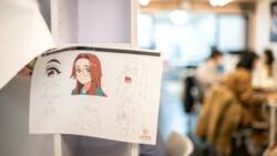 Japan anime studio draws on talent of autistic artists