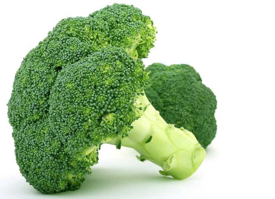 what does bad broccoli look like what does bad broccoli look like