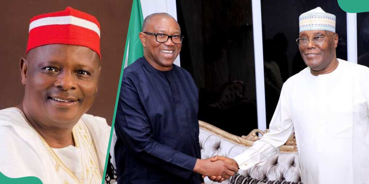 Peter Obi to re-align with Atiku ahead of 2027? PDP chieftains opens up