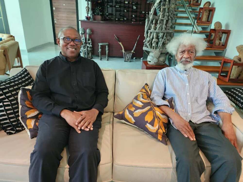 Peter Obi/Wole Soyinka/Obidients/Labour Party/2023 Presidential Election