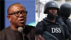 Leaked conversations: DSS now intelligence arm of APC, Timi Frank insists