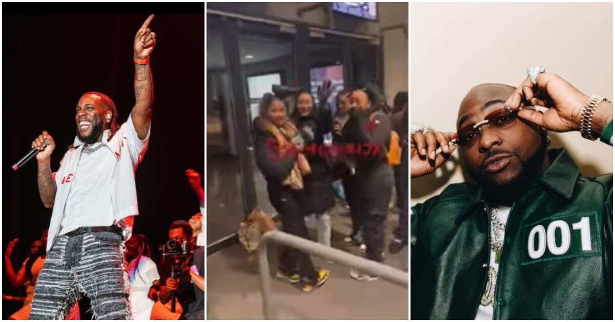 Watch the viral video of some Oyinbo fans seen dancing to Davido's song at a Burna Boy's concert
