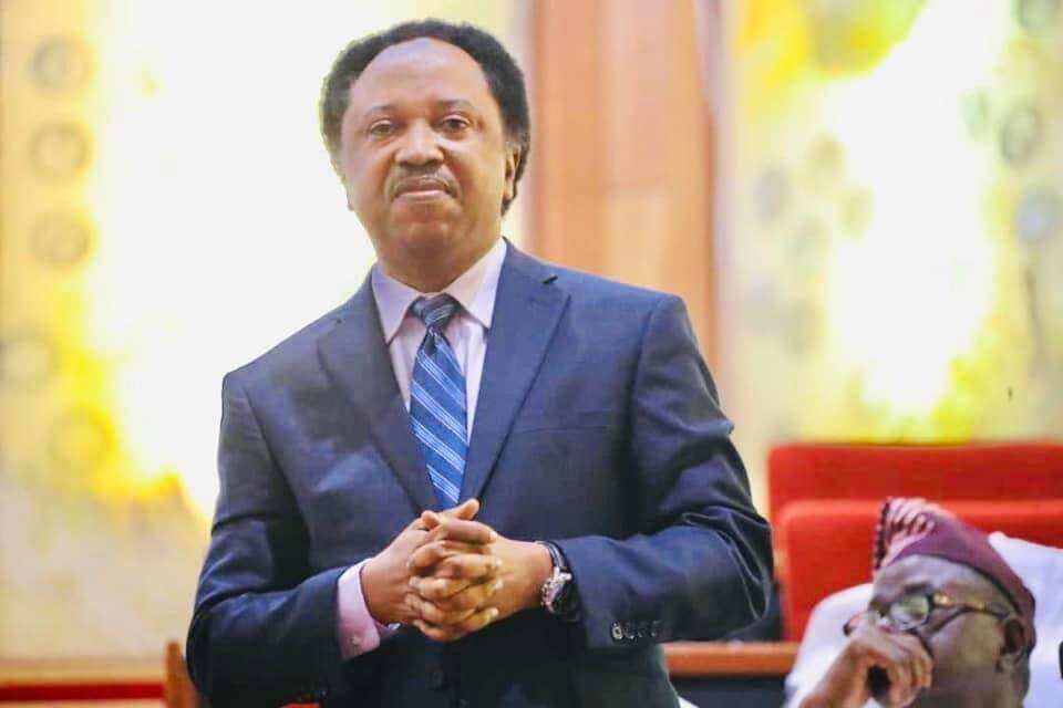 Shehu Sani reacts to abduction of primary students in Kaduna