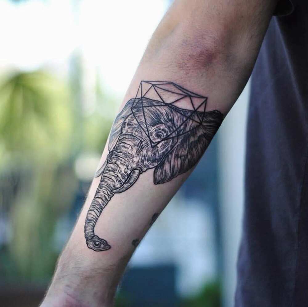 geometric elephant tattoo