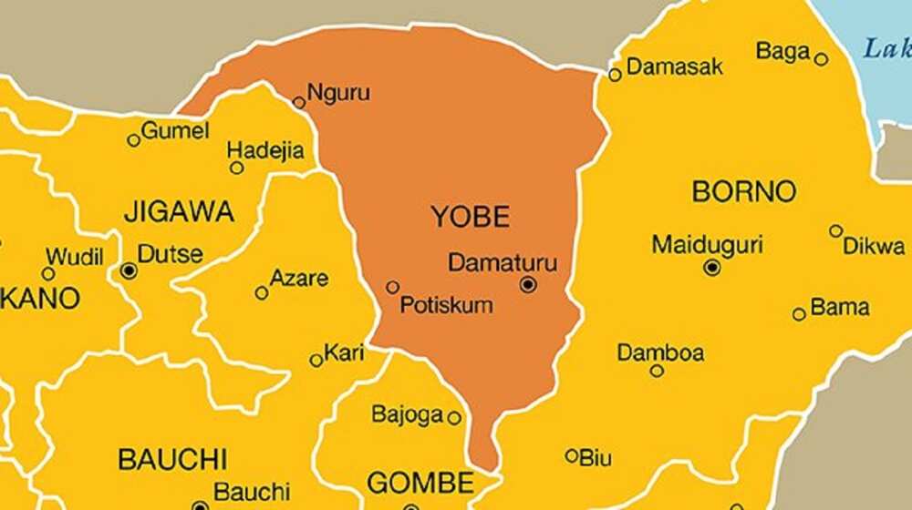'Yan Boko Haram sun sace tarakta 5 sun banka wa 2 wuta a Yobe