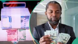 “Make it N700/$”: Nigerians react as CBN sells dollar to BDC operators at cheap rate