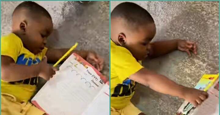 Little boy shuts assignment book, walks out