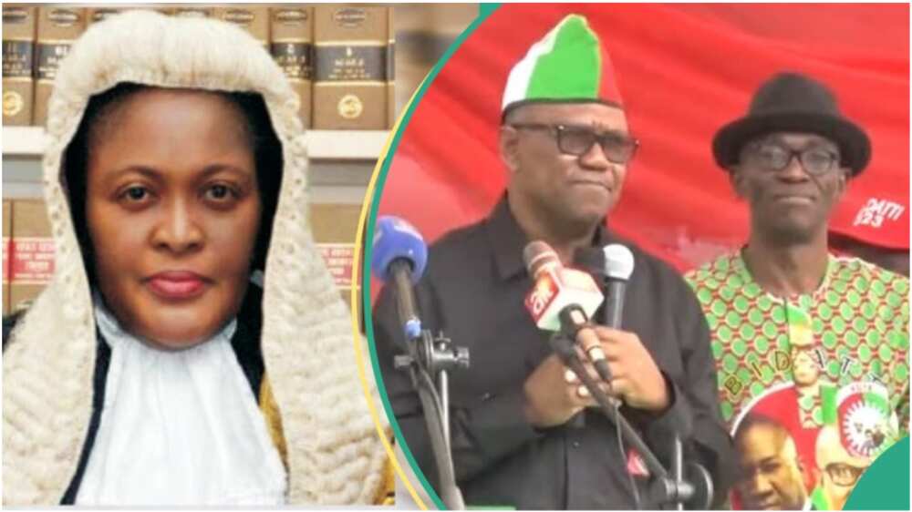 Justice Mary Peter-Odili/Labour Party/Peter Obi/Presidential Election Petition Court Justice Mary Peter-Odili/Labour Party/Peter Obi/Presidential Election Petition Court