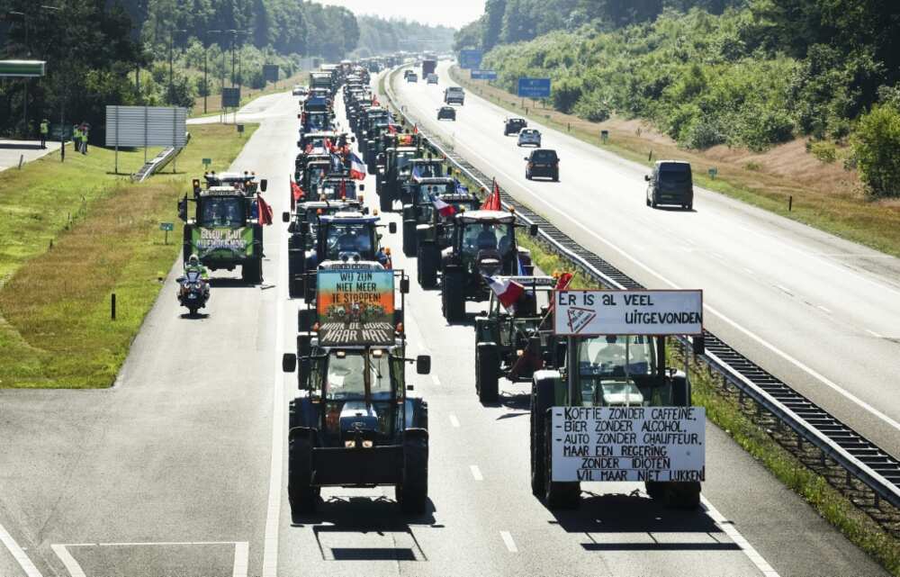 Tractors drive down the A1 highway on their way to the rural farmers' protest in Stroe