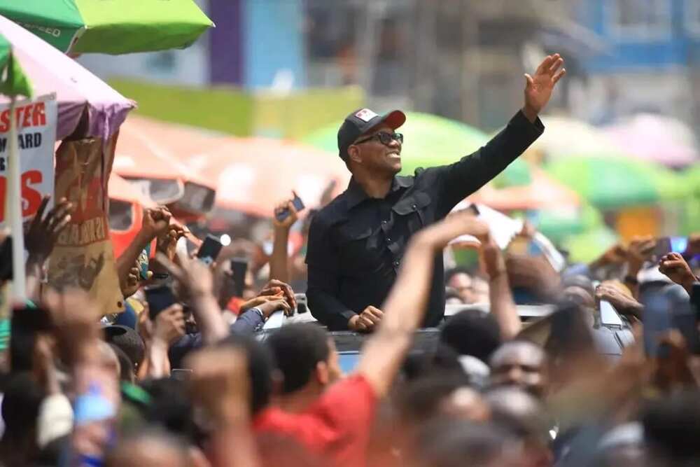 2023 general election, Labour Party, Ondo state, Peter Obi