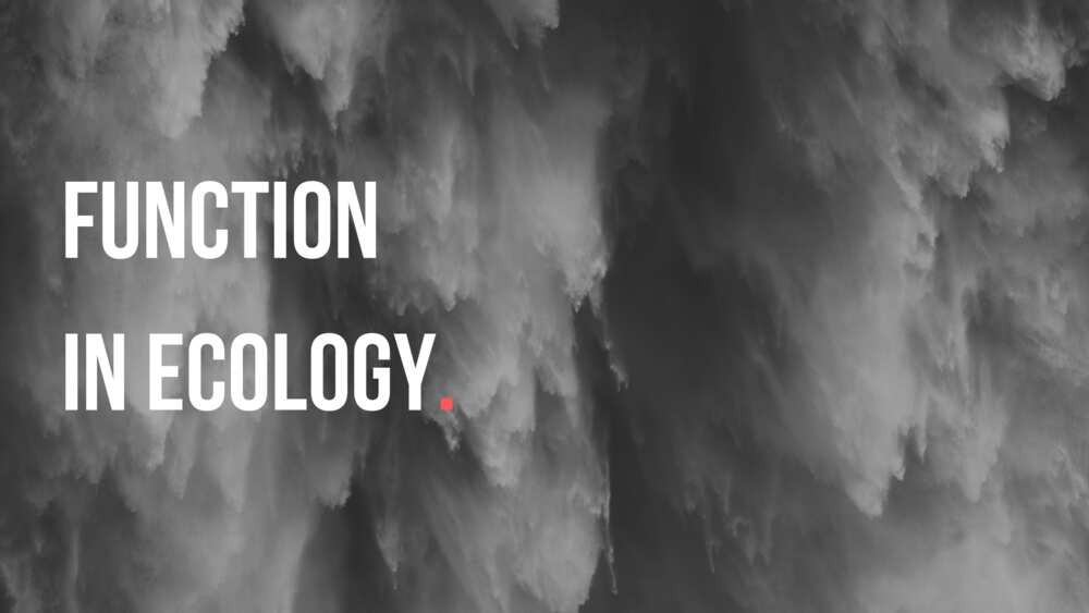 Functions of government in ecology Functions of government in ecology