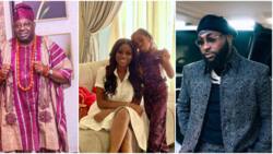 “Please calm down,” Dele Momodu begs Sophia, Davido’s baby mama, as he celebrates her new age, many react