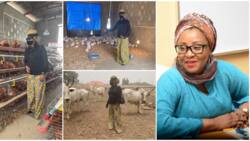 Governor's wife shows off her livestock farms, photos generate mixed reactions among Nigerians