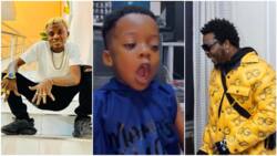 Who taught him? Nigerian kid sings Olamide's verse on Zazu Zeh song word for word in viral video