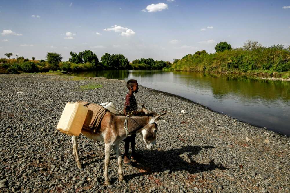 Sudan and Ethiopia have long been at odds over the fertile farmland region of Al-Fashaqa Sudan and Ethiopia have long been at odds over the fertile farmland region of Al-Fashaqa