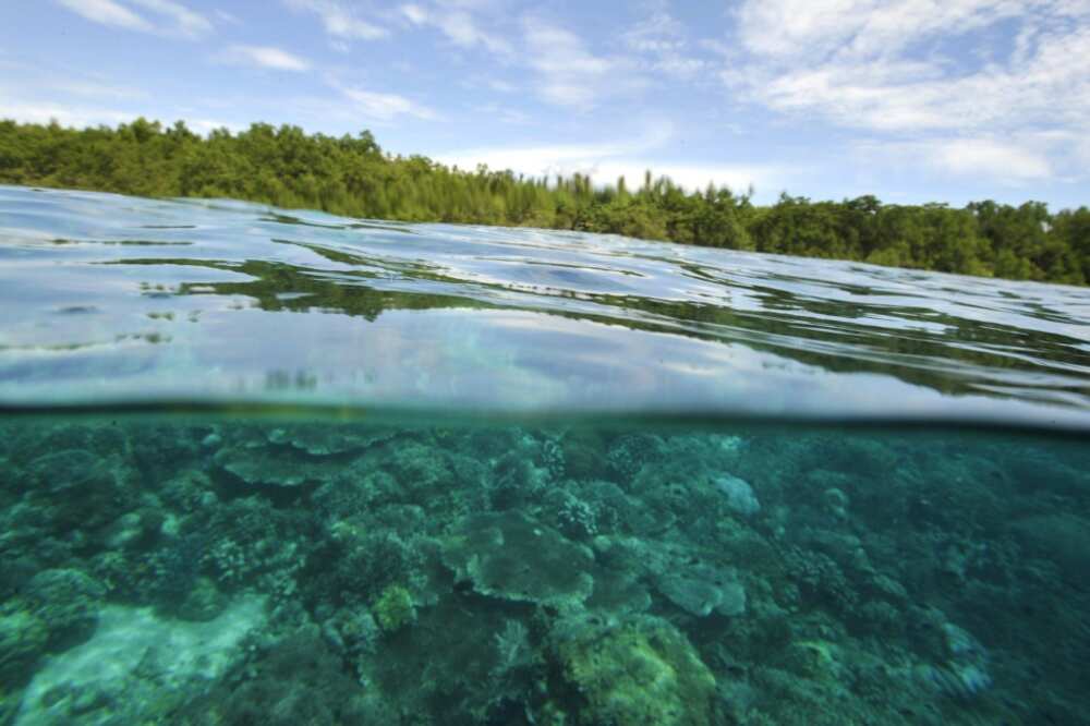Residents of the Indonesian island of Pulau Pari want Swiss cement giant Holcim to compensate them for climate-related damage Residents of the Indonesian island of Pulau Pari want Swiss cement giant Holcim to compensate them for climate-related damage