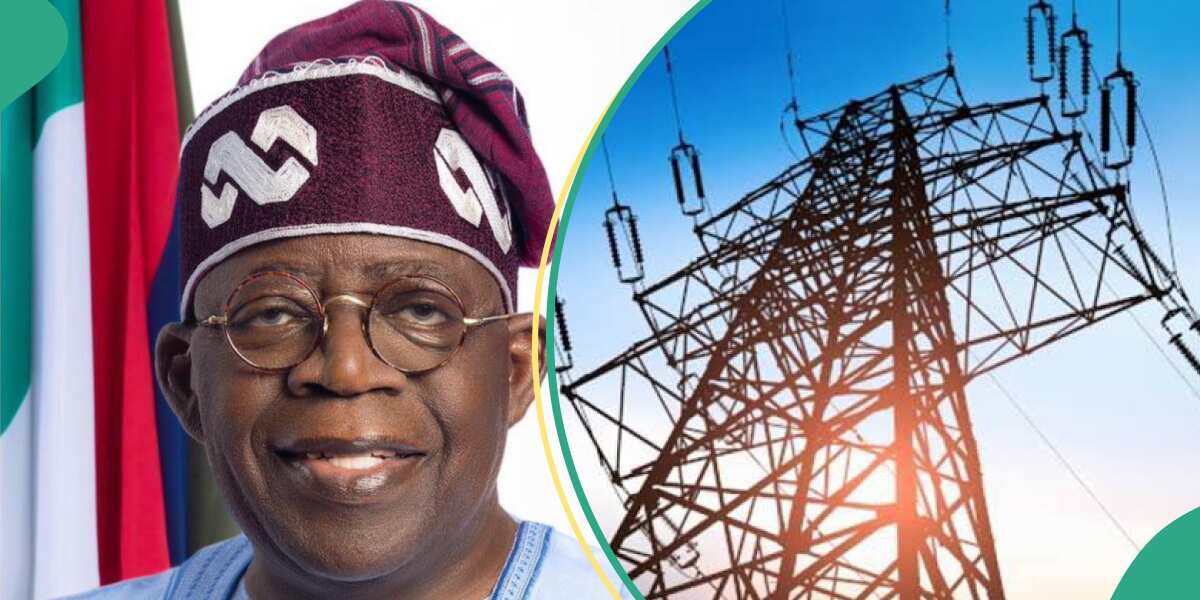 Why majority of Nigerians are still enjoying electricity subsidy, popular group explains