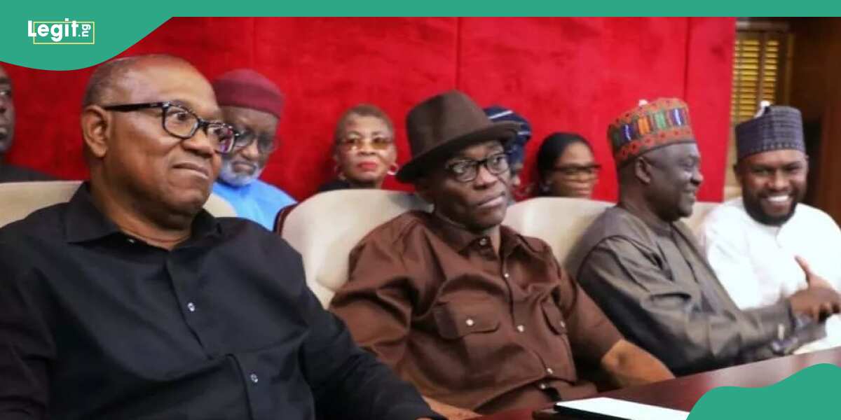 Tinubu's victory: Labour Party sends strong message to Obidients after Supreme Court's judgment