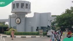 University of Ibadan takes action on law student for allegedly assaulting colleague