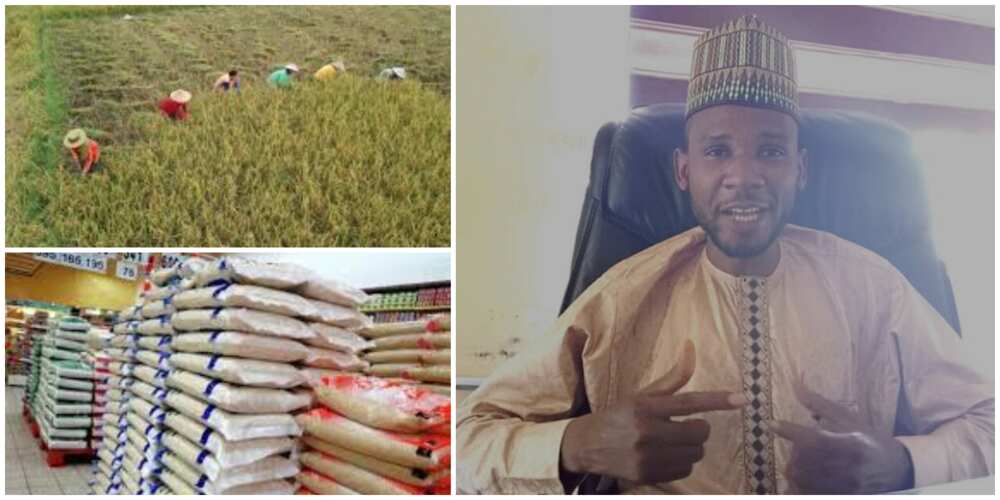 Mohammed Adamu Mohammed: Nigerian man who started rice company with just N20k makes it big