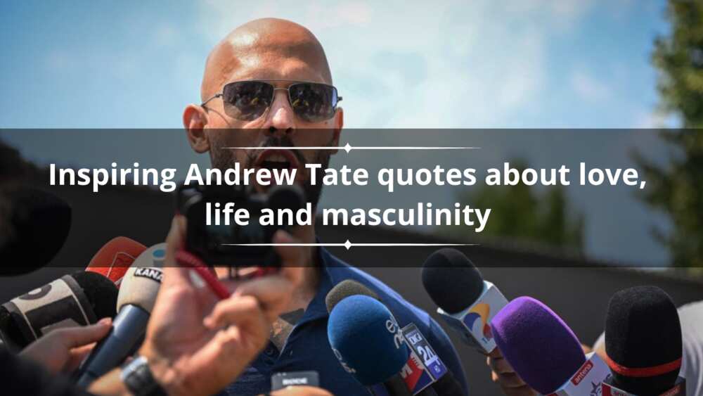 Andrew Tate quotes