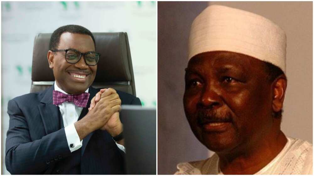 Alleged corruption: AfDB Adesina president reacts to UK lawmaker's claim that Gowon looted half of CBN