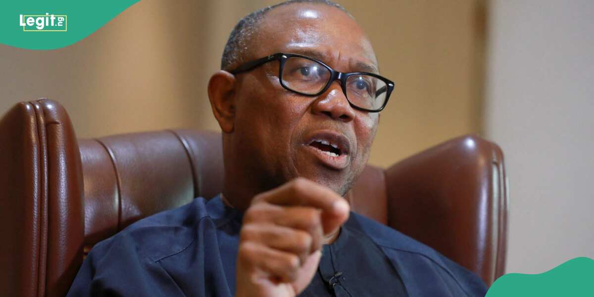 REVEALED: Real reason why Peter Obi contested for president under Labour Party