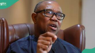 “Peter Obi not a Labour Party person', Okupe, discloses reason for ex Anambra gov's LP choice