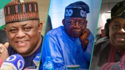 Why Fani-Kayode is quiet on Tinubu’s Chicago certificate saga, Dele Momodu opens up
