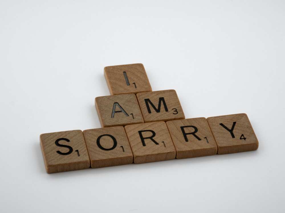 Apology Messages 100 Romantic Sorry Messages For Your Love Legit Ng