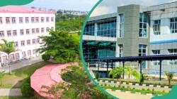 Best private universities in Abuja as of 2024/2025