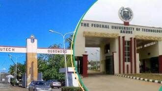 List of top 10 universities of science and technology in Nigeria