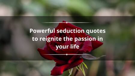 130+ powerful seduction quotes to reignite the passion in your life