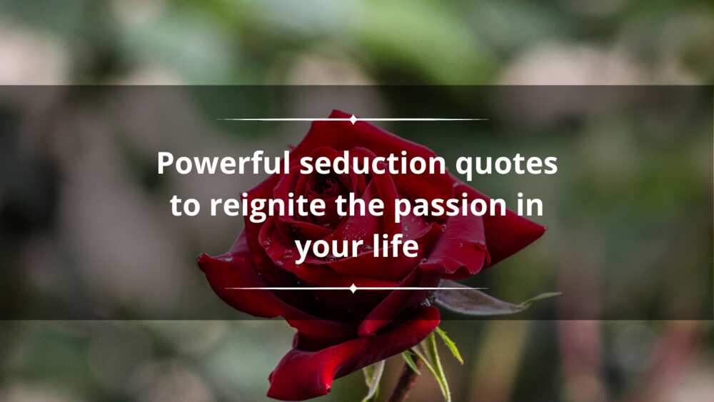 seduction quotes
