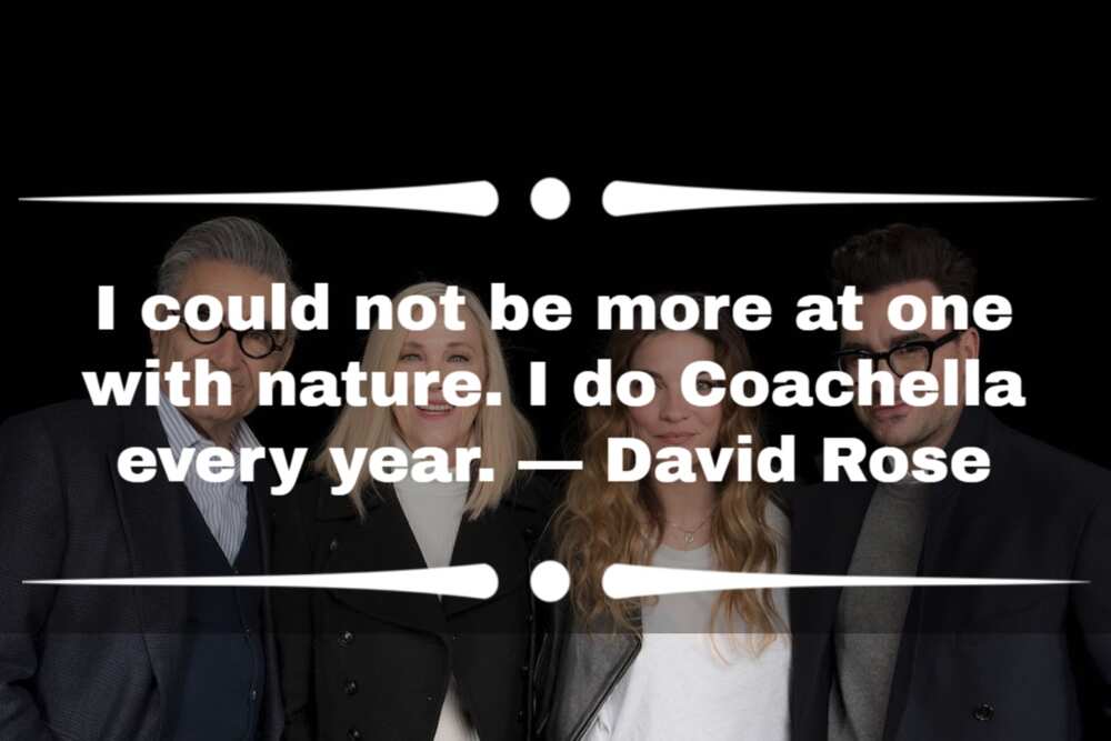 David Rose quotes