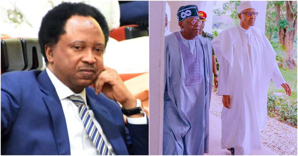 2023 census, Shehu Sani, Bola Tinubu, President Muhammdu Buhari